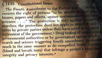 4th amendment essay